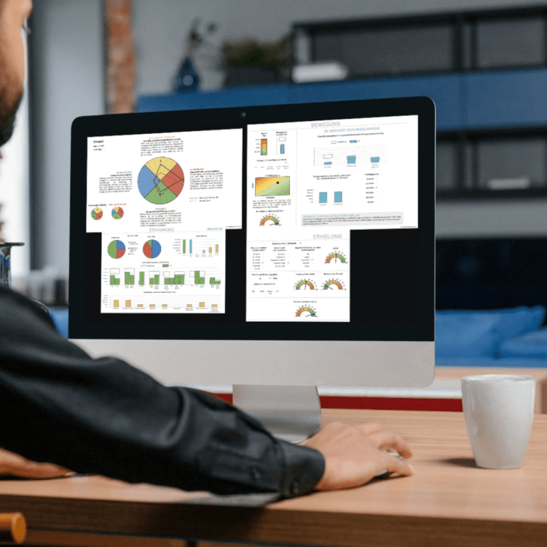 Performance Navigator – Beispielbericht